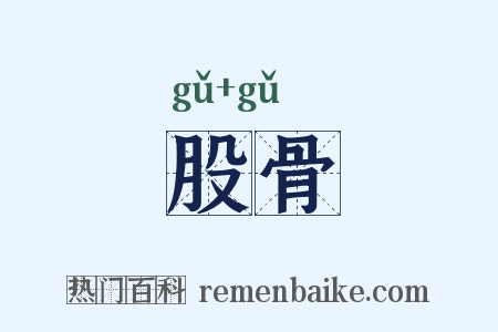 股骨是什么意思的图片
